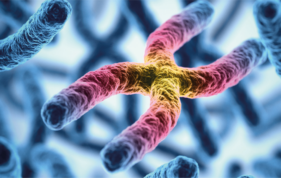 Microarray e o diagnóstico de cromossomopatias